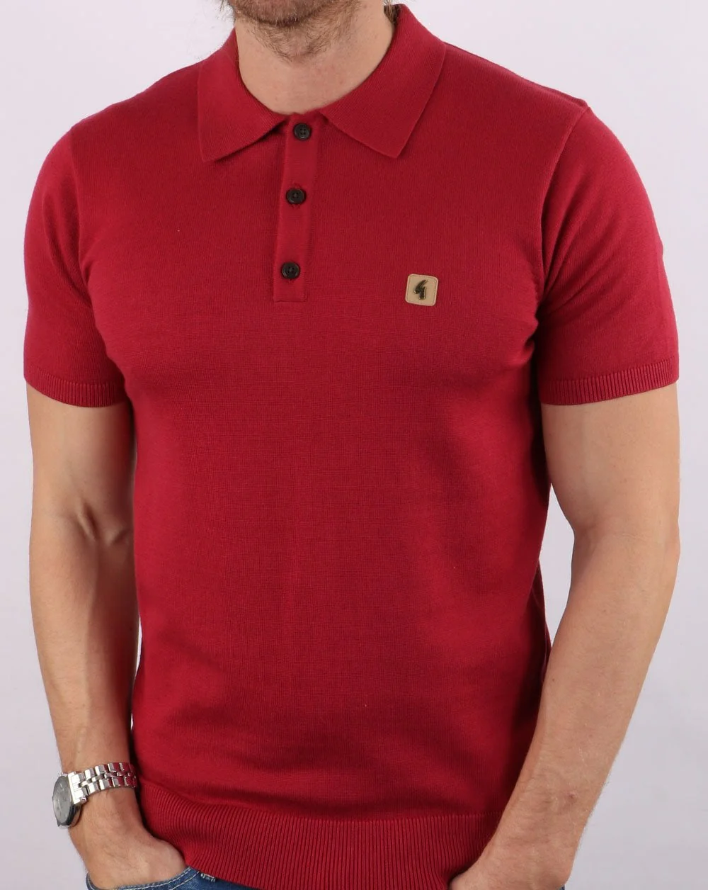 Gabicci Vintage Jackson Polo Tayberry
