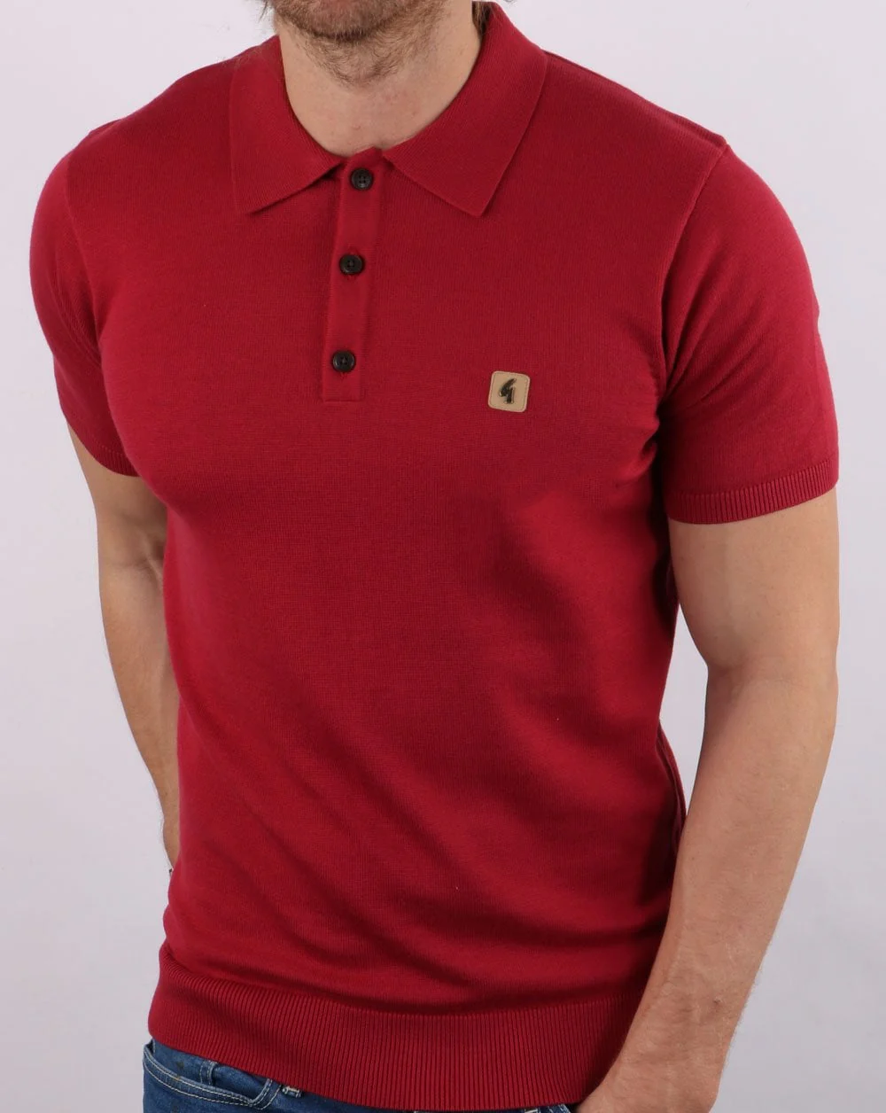 Gabicci Vintage Jackson Polo Tayberry - Image 3