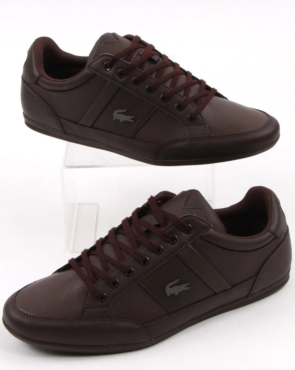 Lacoste Chaymon Trainer Dark Brown