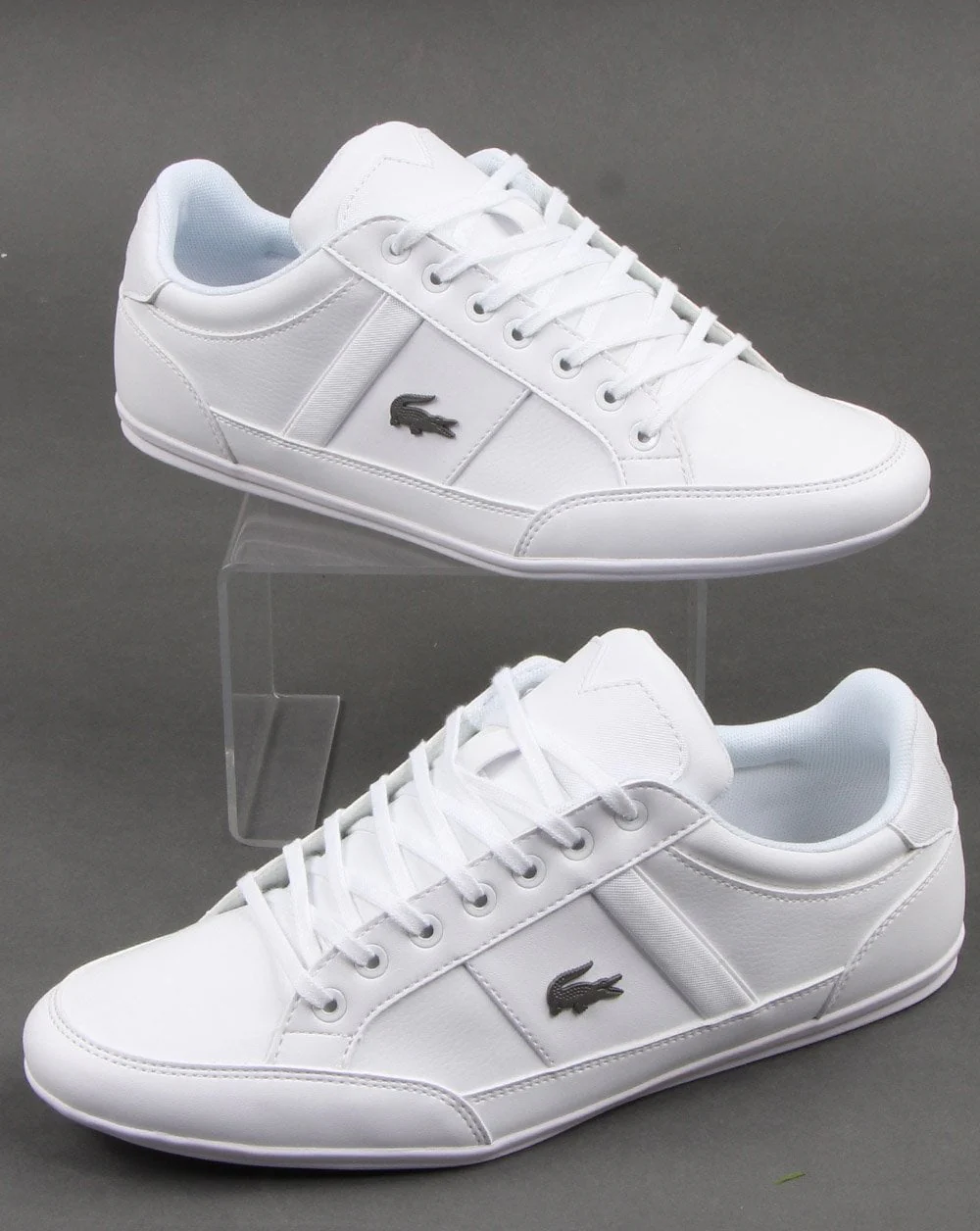 Lacoste Chaymon Trainer White