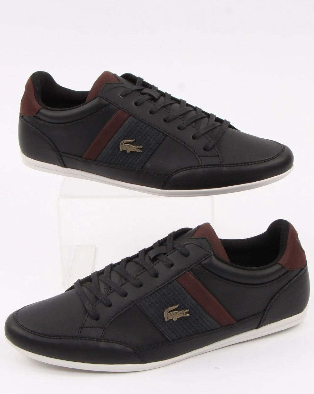 Lacoste Footwear Chaymon Trainer Black/Brown