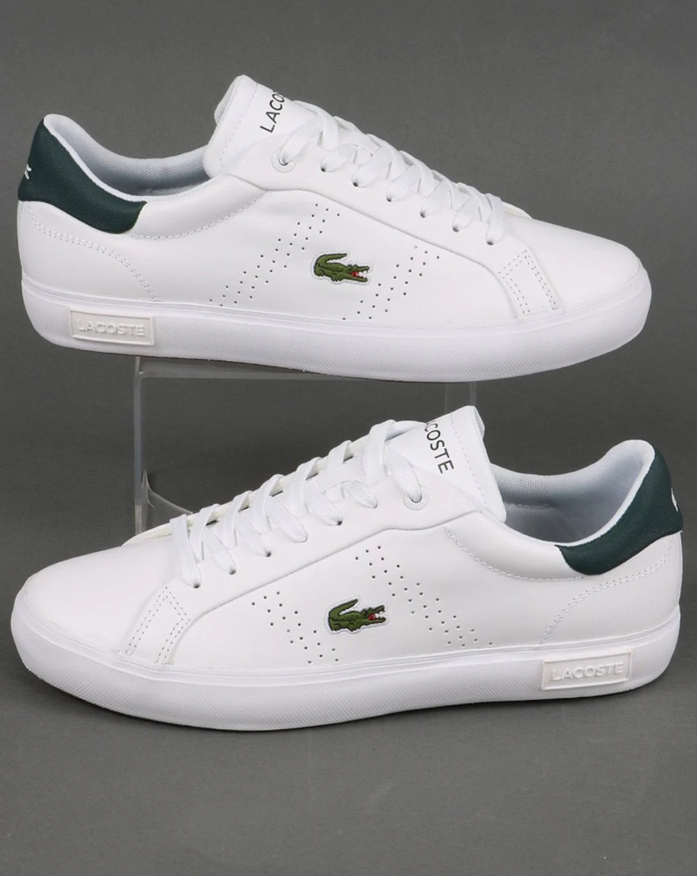 Lacoste Footwear Powercourt Trainer White/dark Green