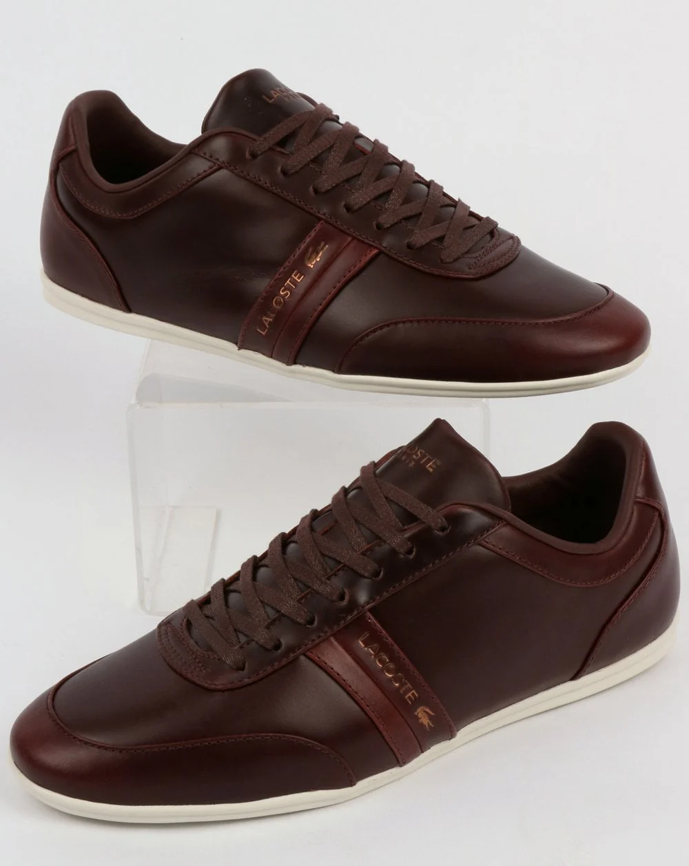 Lacoste Storda Trainer Dark Brown/Off White
