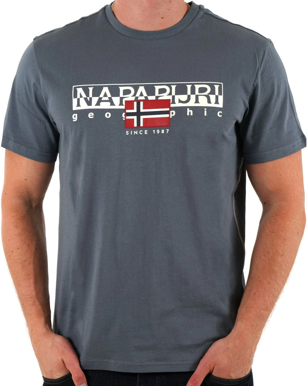 Napapijri Aylmer T Shirt Stormy Weather